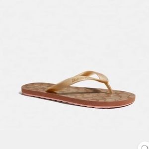 NWT coach flip flops